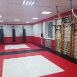 Единоборства, Ростов-на-Дону